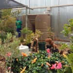 Seamless Gutter Installations | Rain Water Heads – Hopper Boxes | Fascia Boards | Barge Boards | Gutter Maintenance and Cleaning